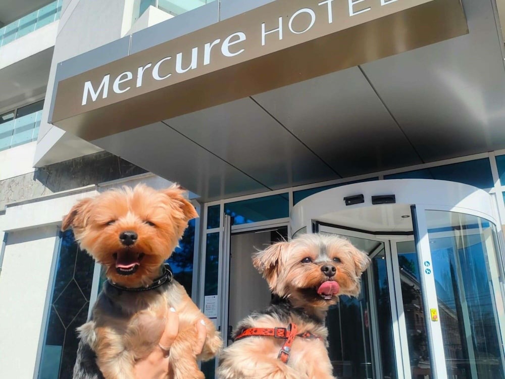 Mercure Galati Centrum 8/50