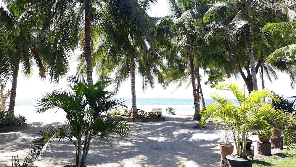Panglao Grande Resort 30/45