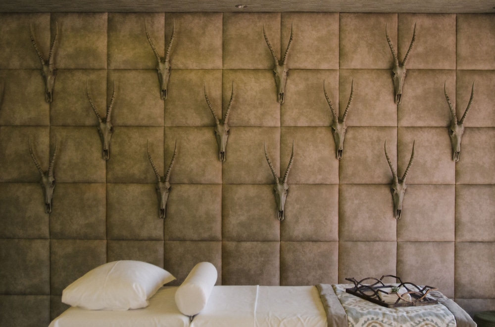 Palala Boutique Game Lodge & Spa 18/50