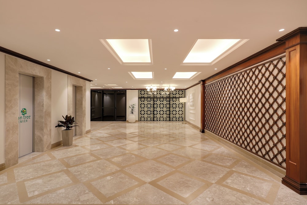 Hotel Lemon Tree, Premier, Kathmandu 13/81