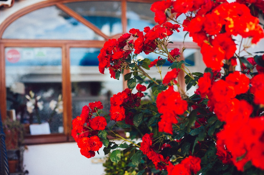 Il Giardino Dell'arte - Guest House 29/34