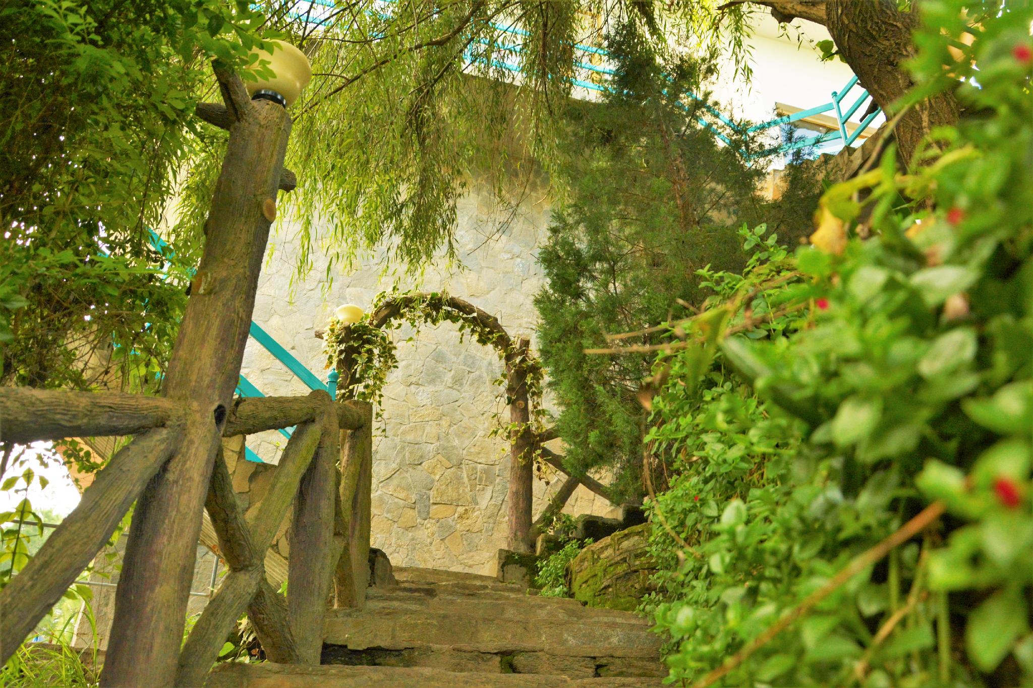 Mohans Binsar Retreat 12/24