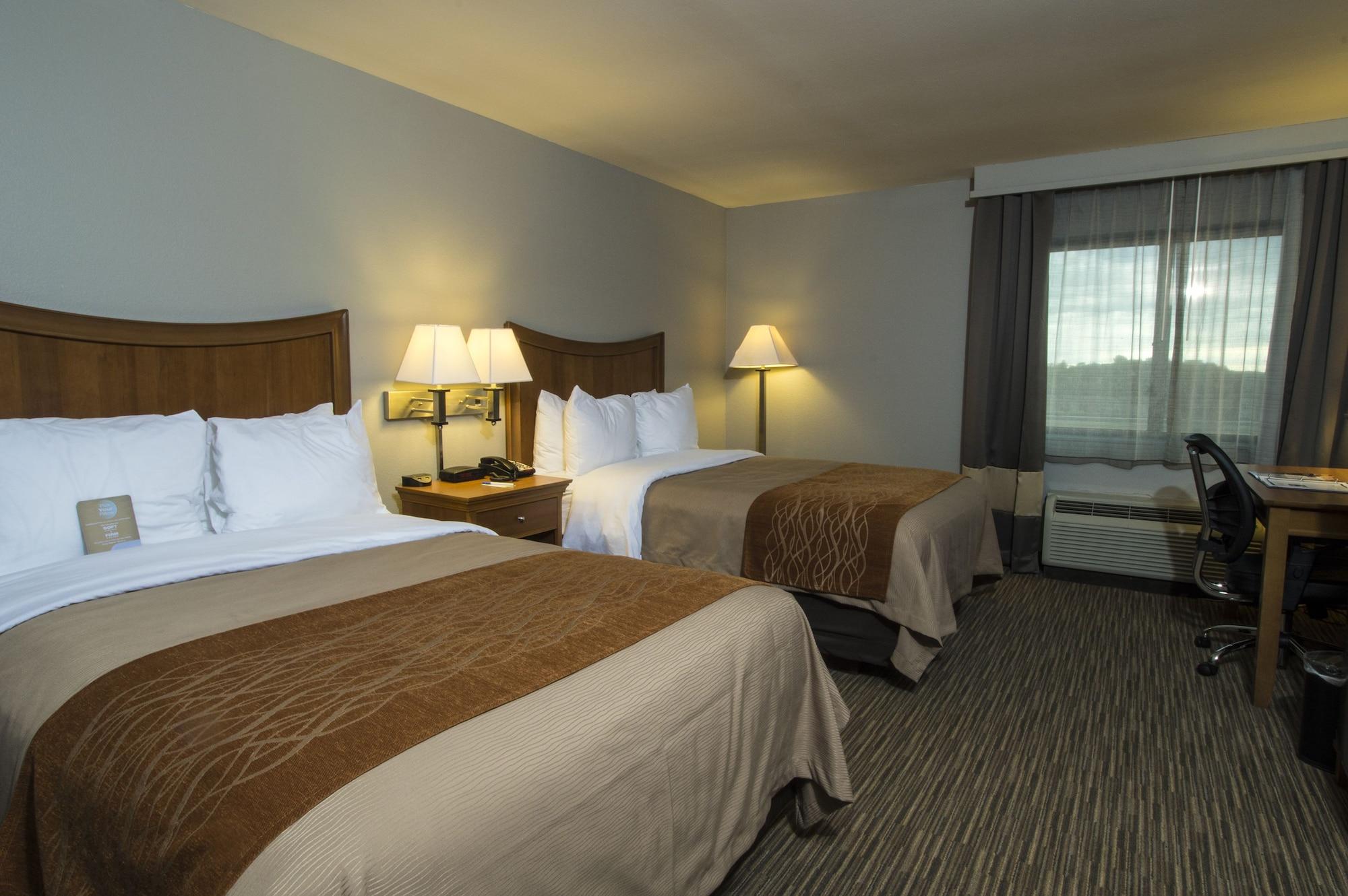 Suite, Multiple Beds, Accessible