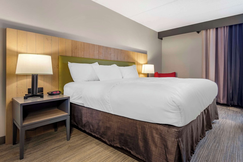 Comfort Inn & Suites Liverpool - Syracuse North 11/41