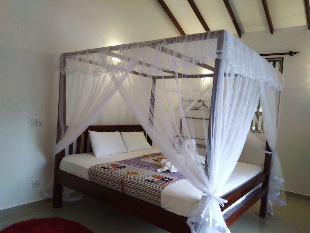 Galle Cemellia 14/44