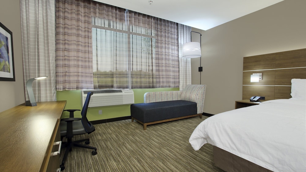 Holiday Inn Express & Suites Dallas-Frisco NW Toyota Stdm 18/52