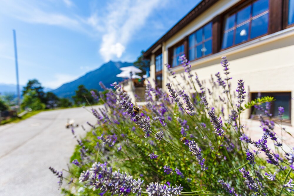 Landhotel and Berggasthof Panorama 5/50