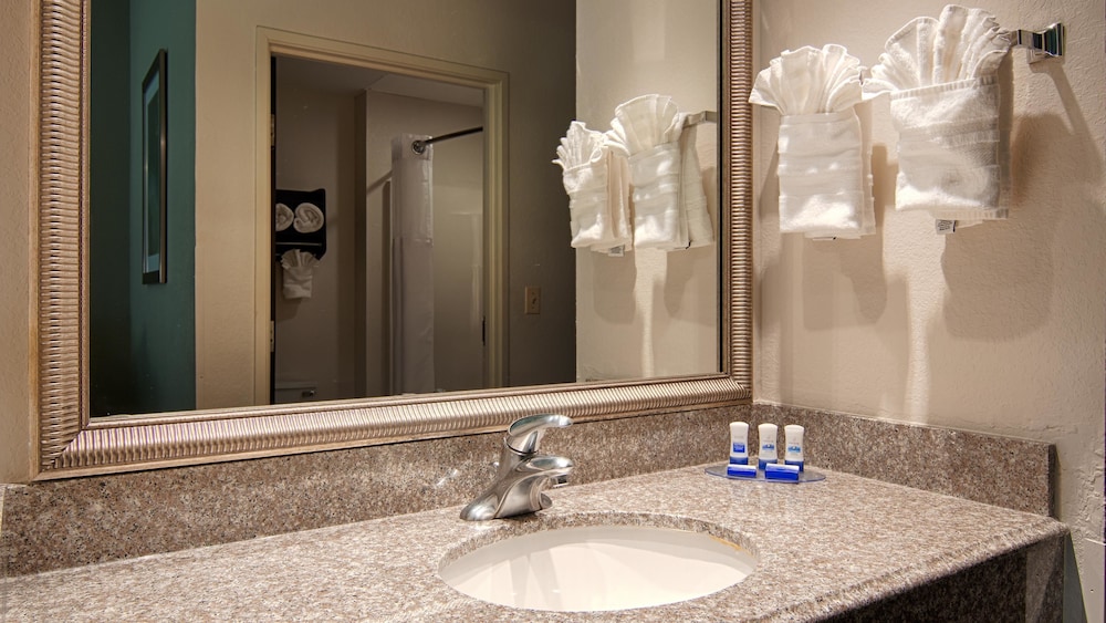 Best Western Plus O'Hare International South Hotel 21/31