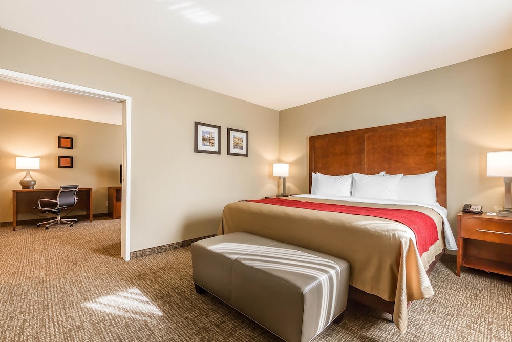 Comfort Inn & Suites Rocklin - Roseville 13/55