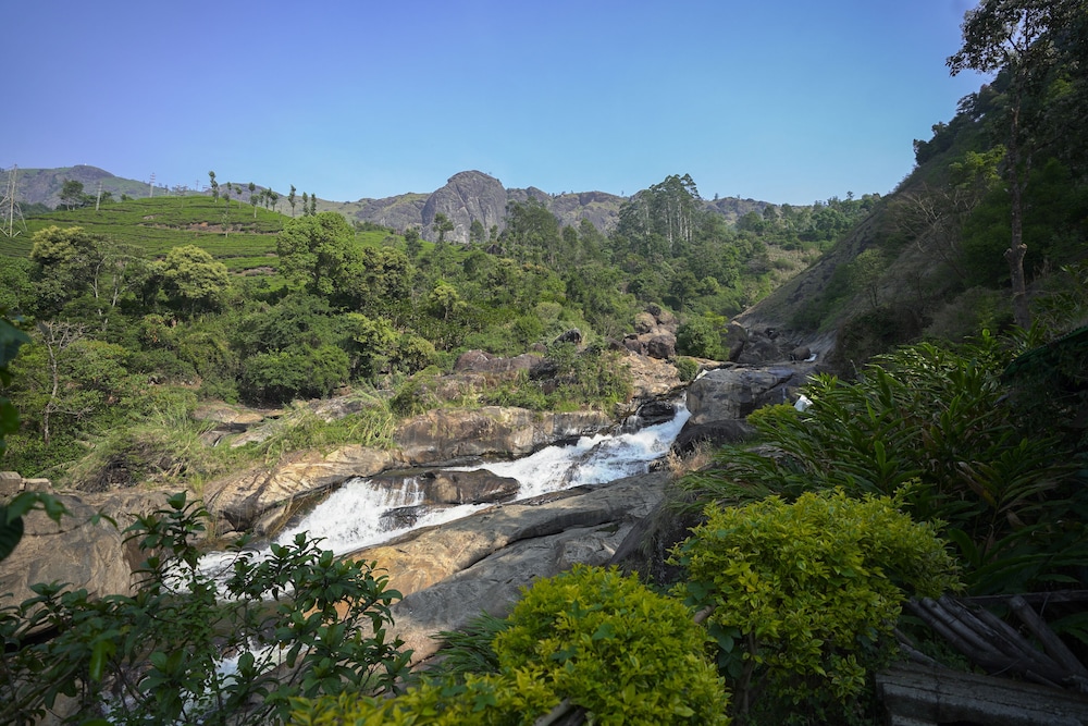 Tea Valley Resort 3/66