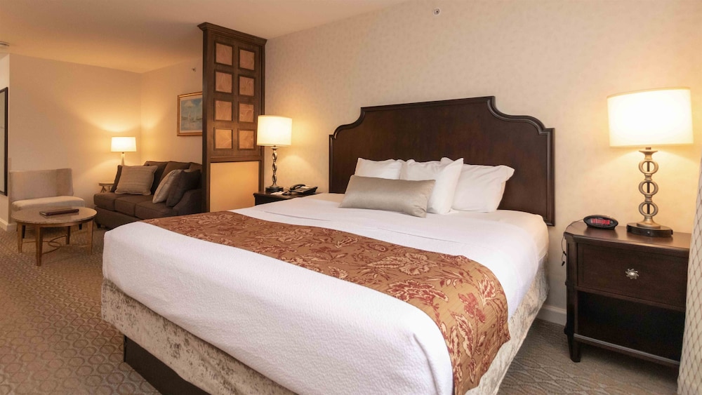 Best Western Plus Vineyard Inn & Suites 15/51