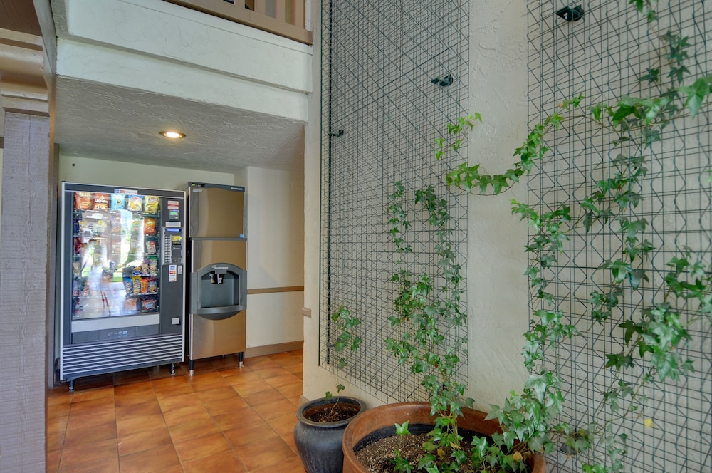 Vagabond Inn Executive San Francisco Airport 8/28