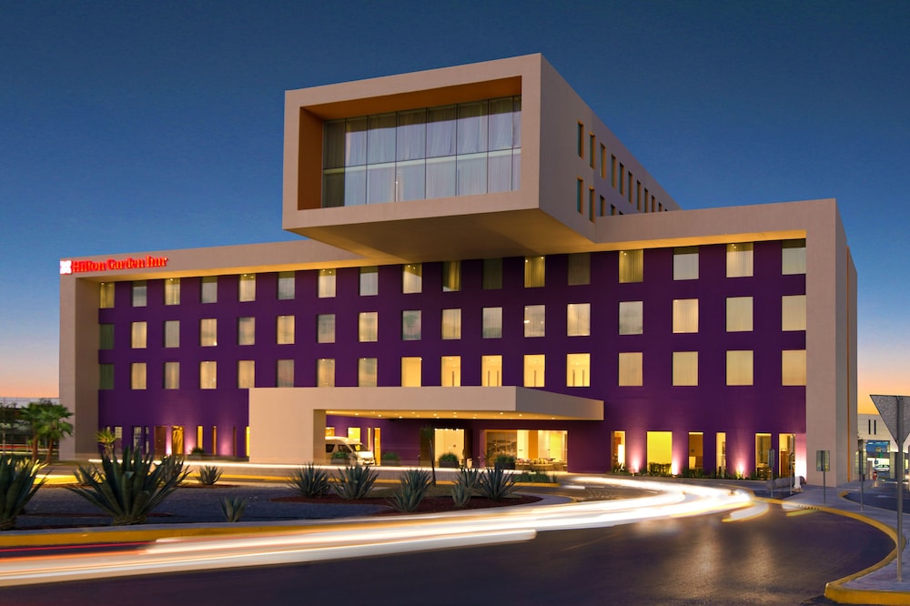 Hilton Garden Inn Monterrey Airport 2/30