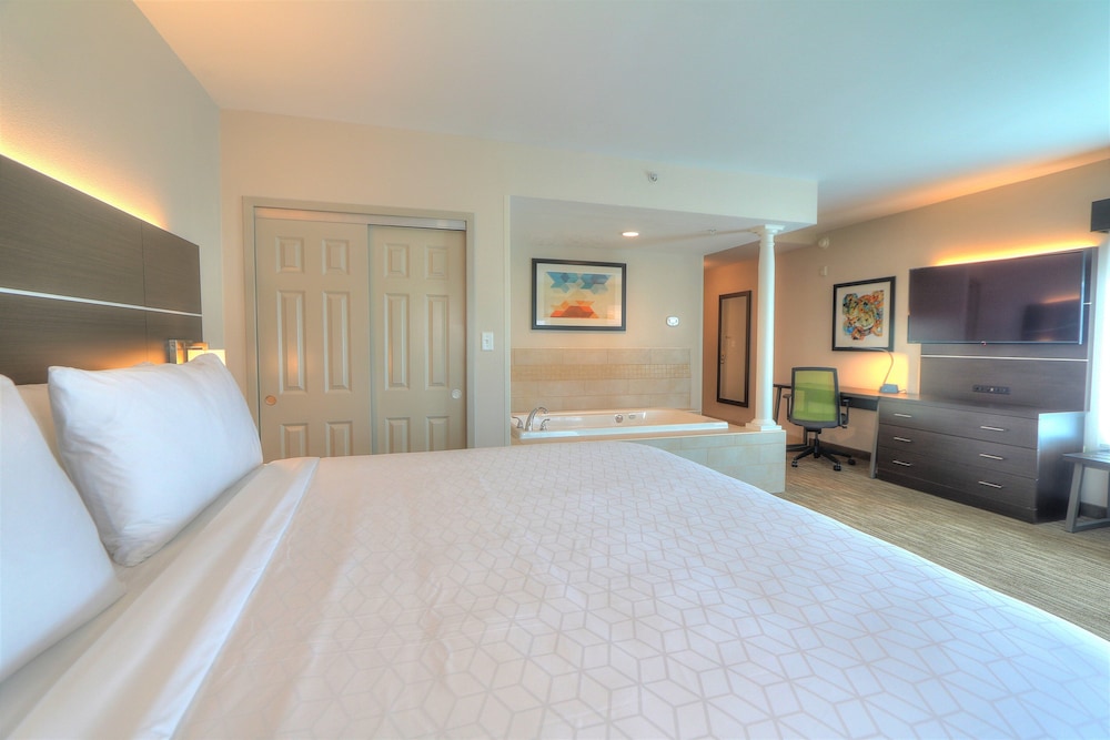 Holiday Inn Express Hotel Suites Mobile Saraland 17/54