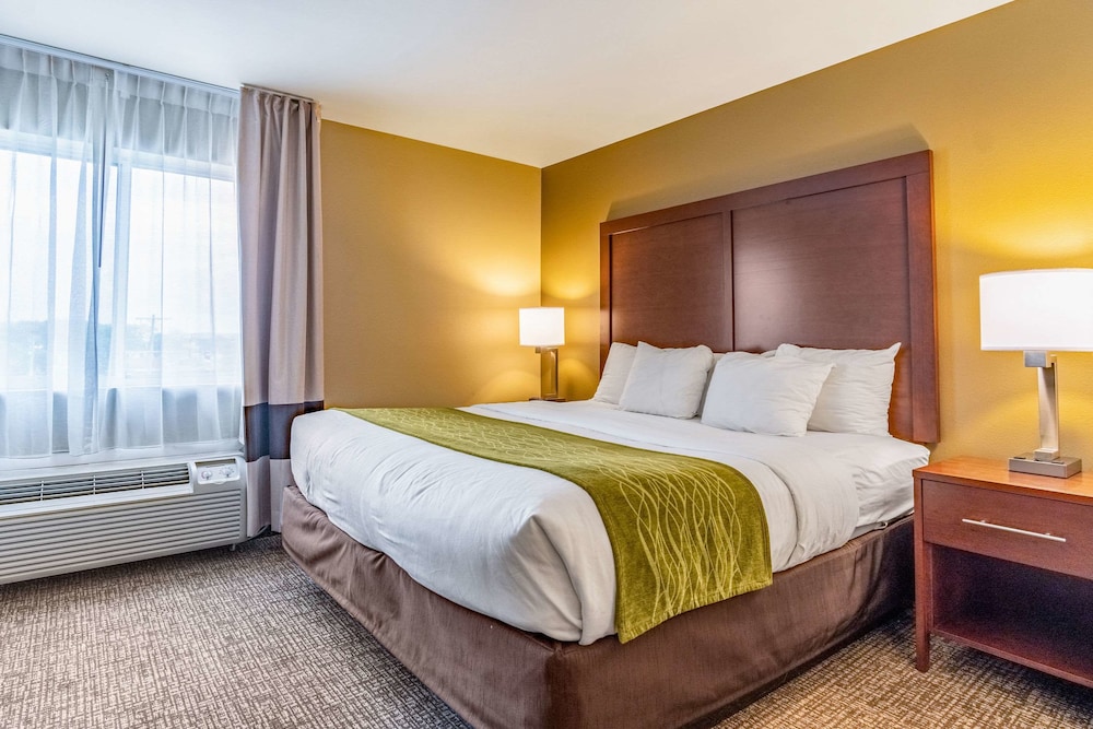 Comfort Inn Suites Tuscumbia Muscle Shoals 15/45