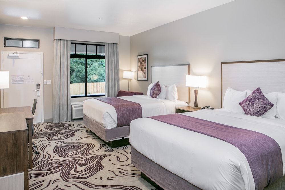 Hotel Siri Downtown - Paso Robles 24/53