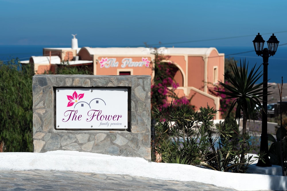 Pension The Flower 8/46