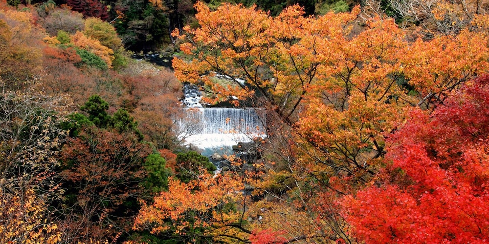 Hakone Onsen Yuyado Yamanoshou 43/48