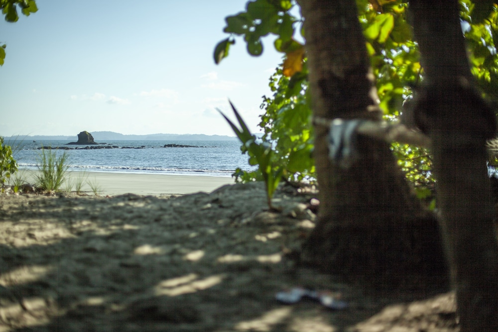 Isla Palenque Member of the Cayuga Collection 38/50