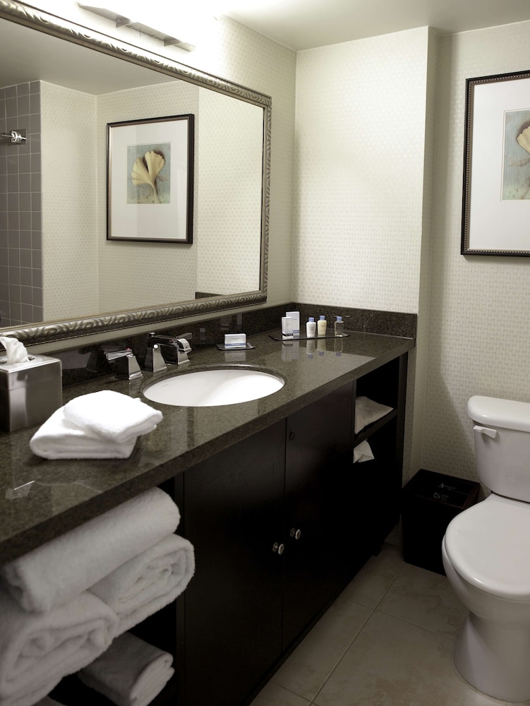 Doubletree By Hilton Charlotte Airport Hotel 36/36