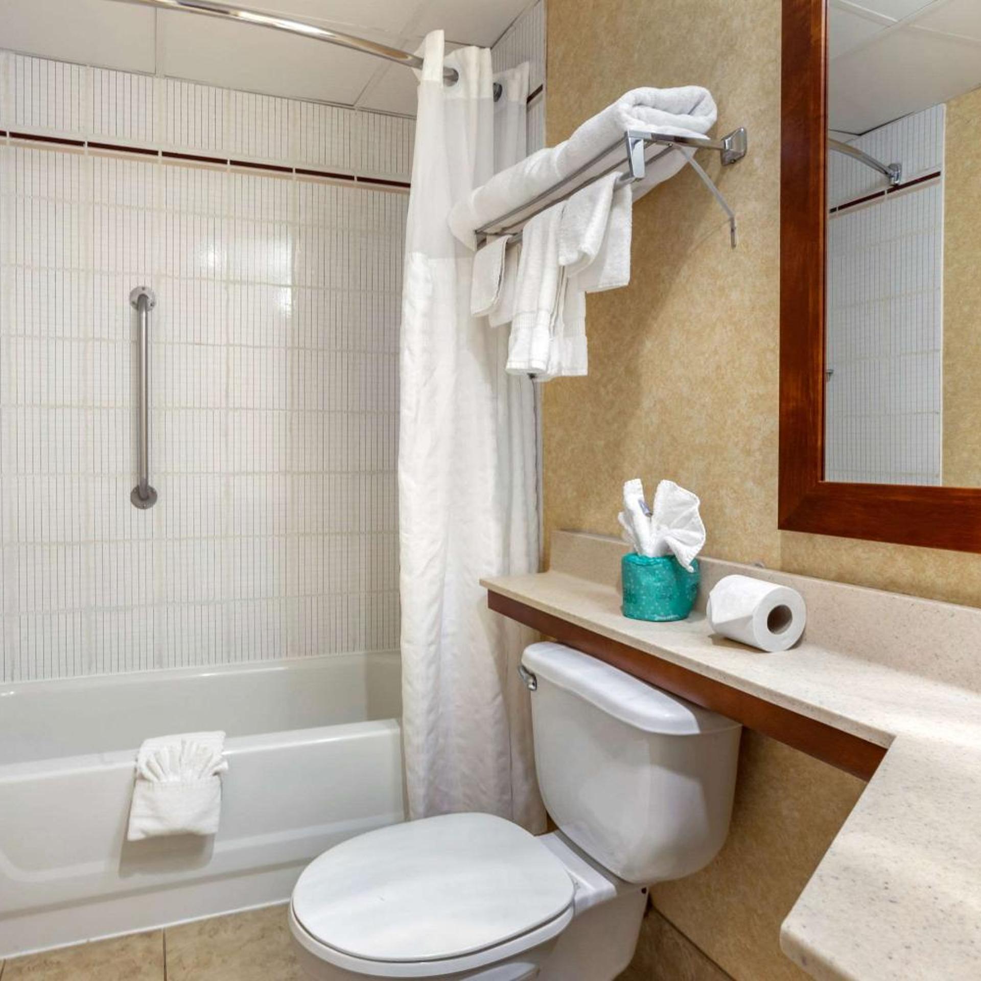 جناح بسرير مزدوج مع أريكة، Comfort Suites Oakbrook Terrace - Chicago West 4/5