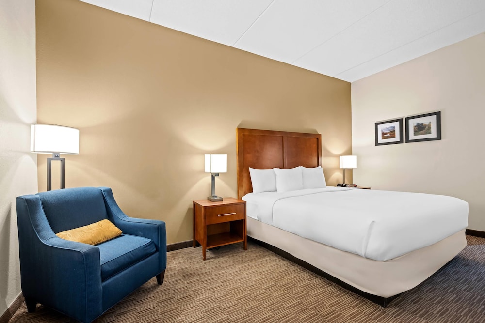 Room, King Bed