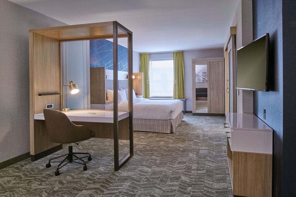 SpringHill Suites Detroit Dearborn 15/17