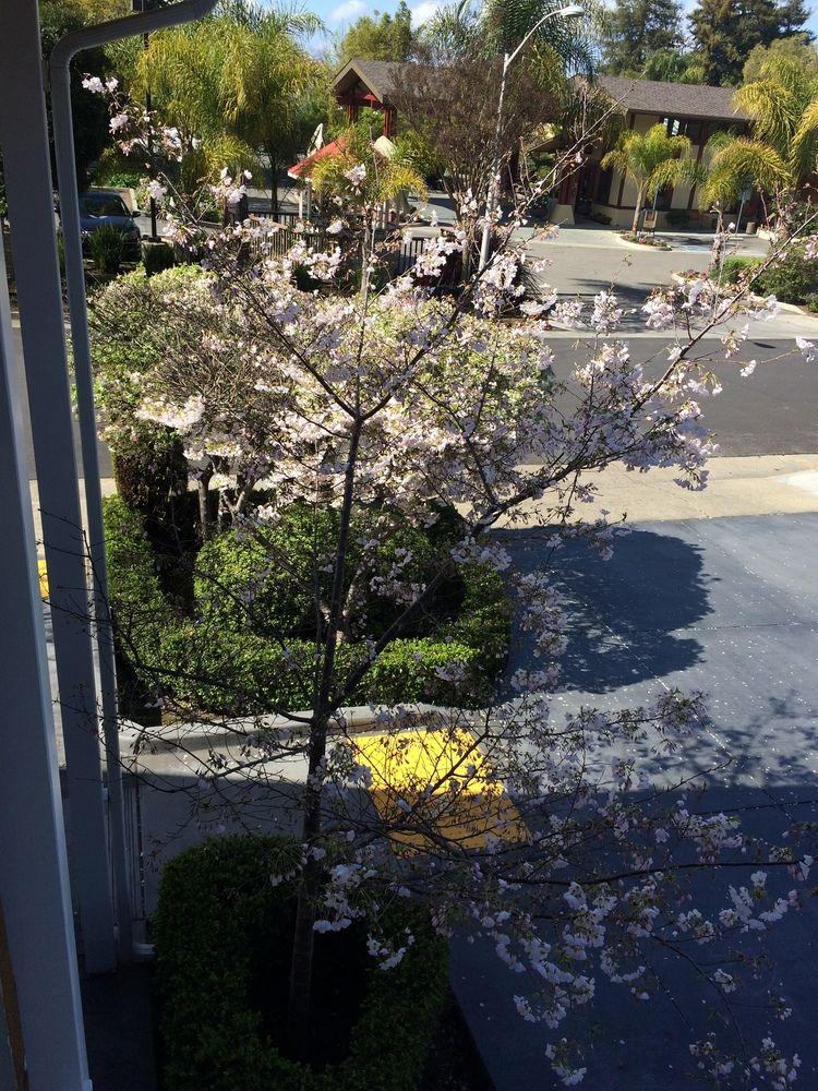 Oak Motel Palo Alto 21/28