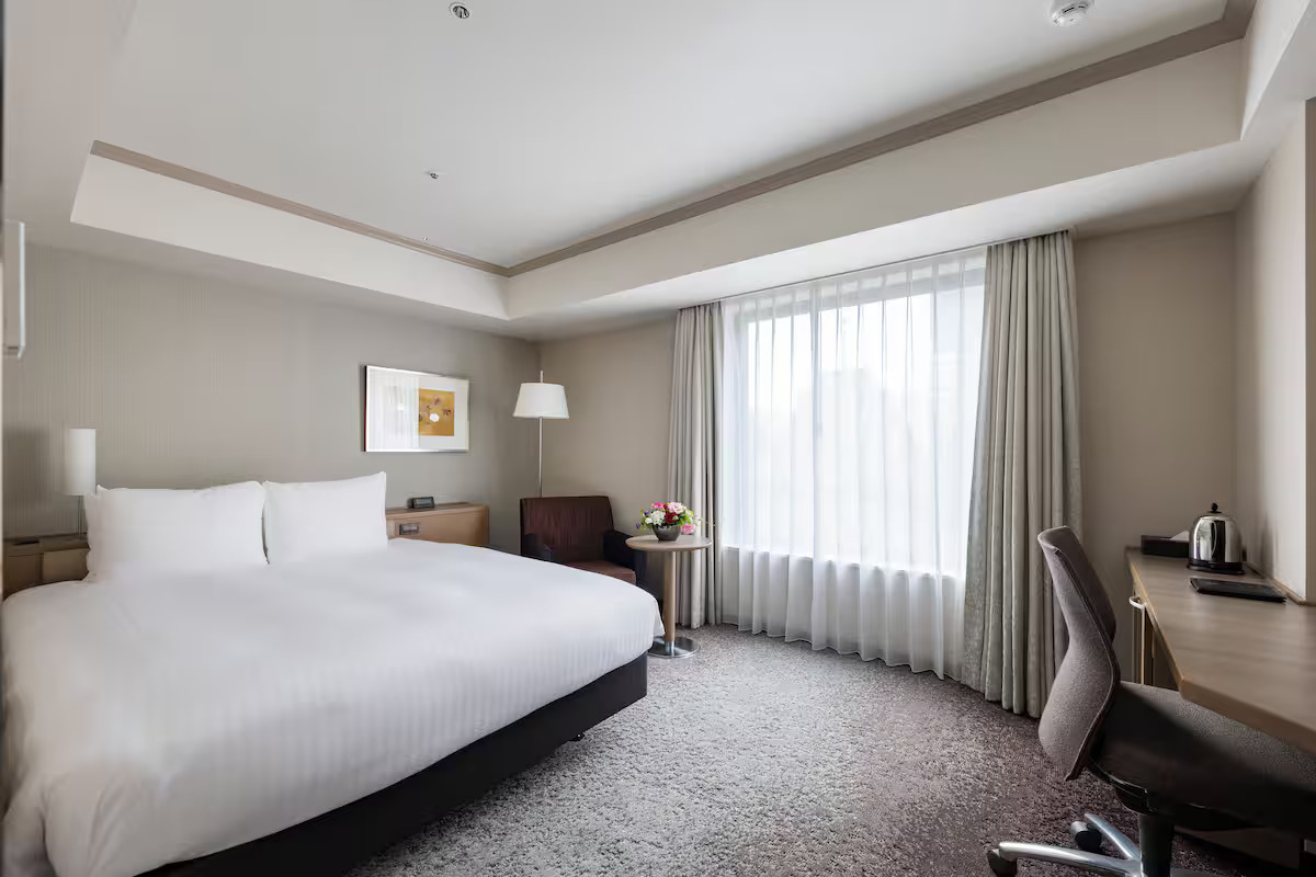 Room, Single, Double Bed