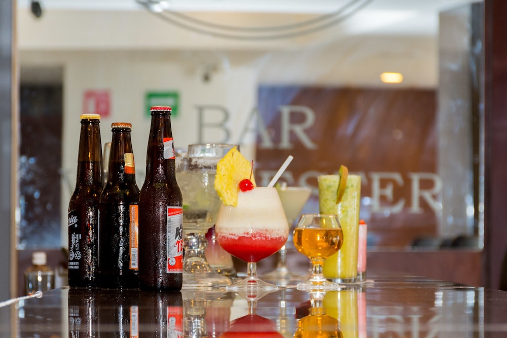 Hotel Real Plaza Aguascalientes 59/71