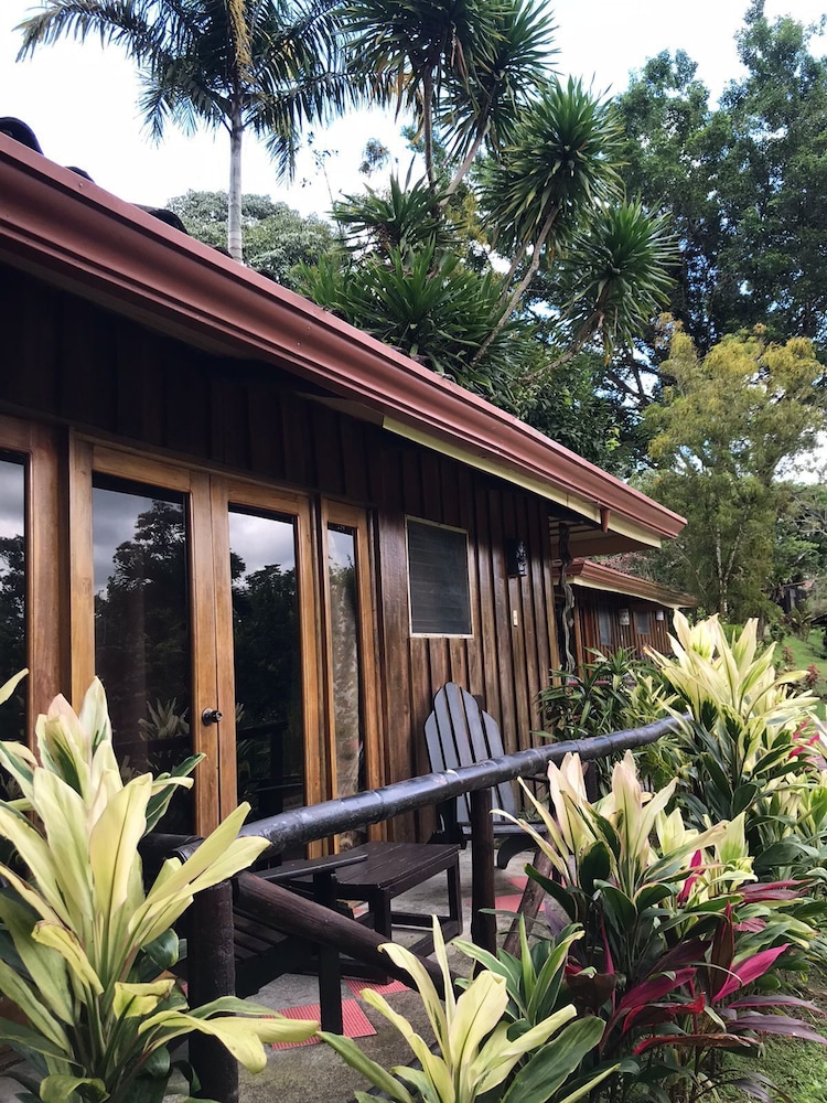 Hotel Kokoro Mineral Hot Springs 8/68