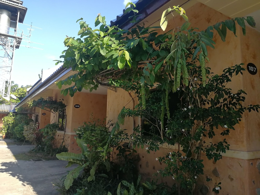 Palm Chalet Resort 5/50