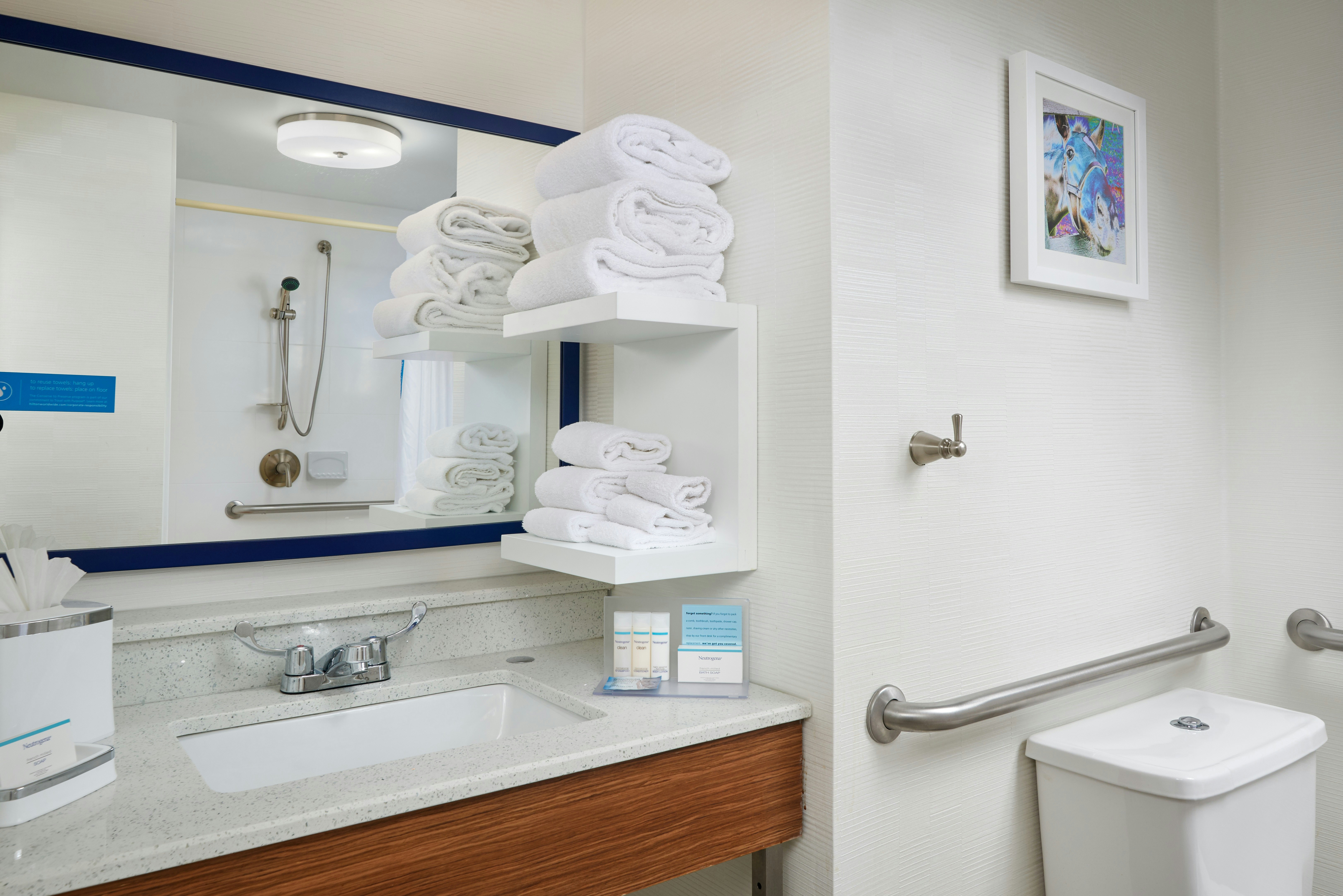 Room, King Bed, Accessible