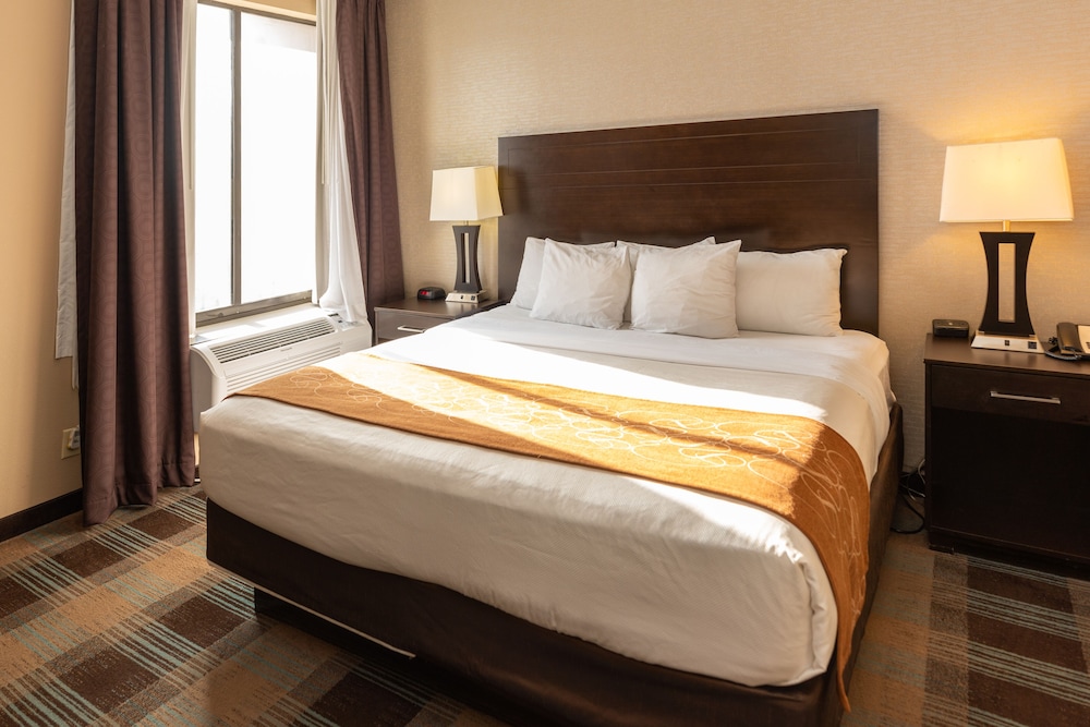 SUITE, KING BED