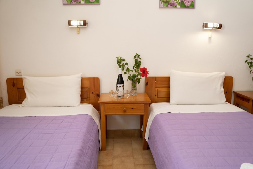 Dimitris Villa Hotel 30/67