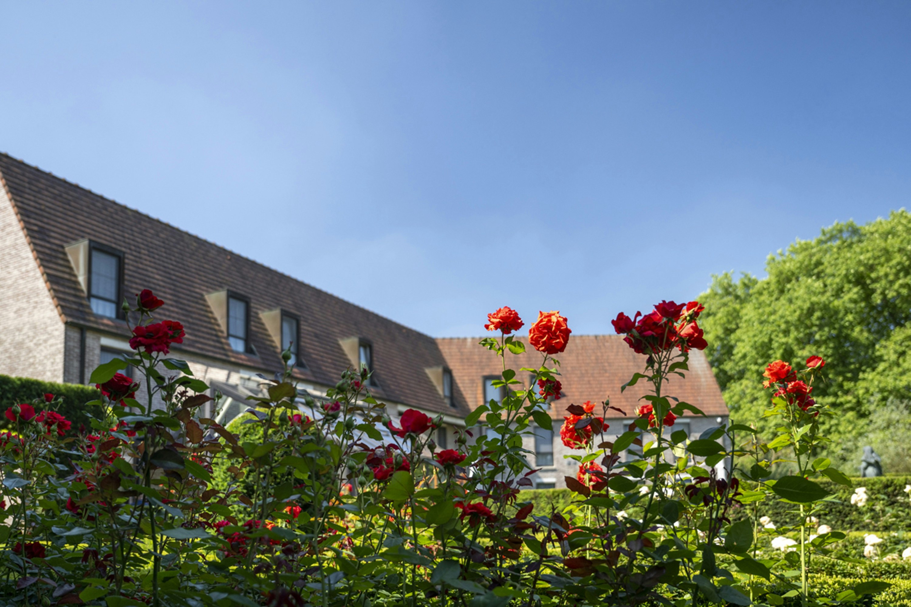 BEGIJNHOF HOTEL 45/47