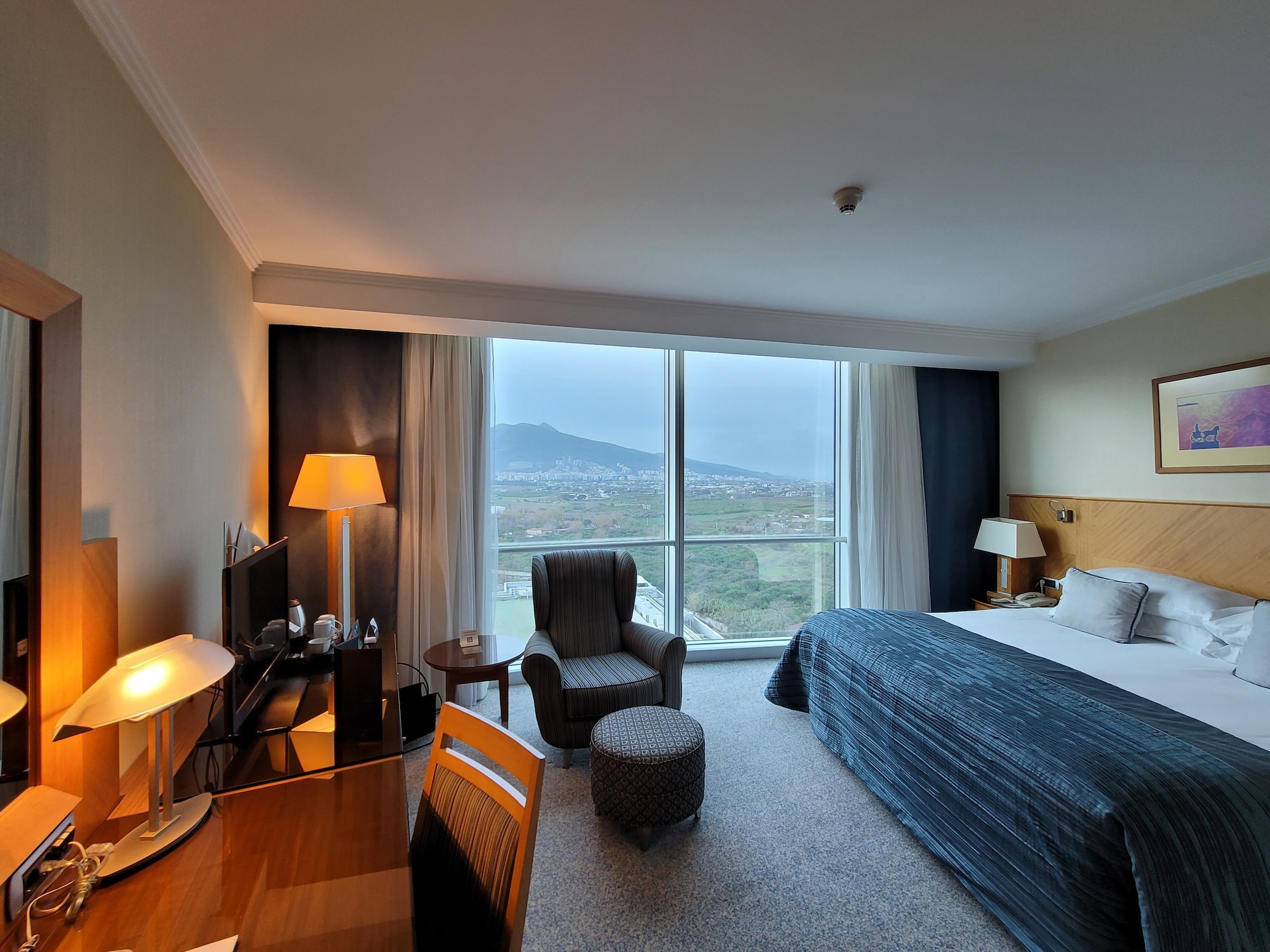 STANDARD, KING BED, MOUNTAIN VIEW, SMOKING