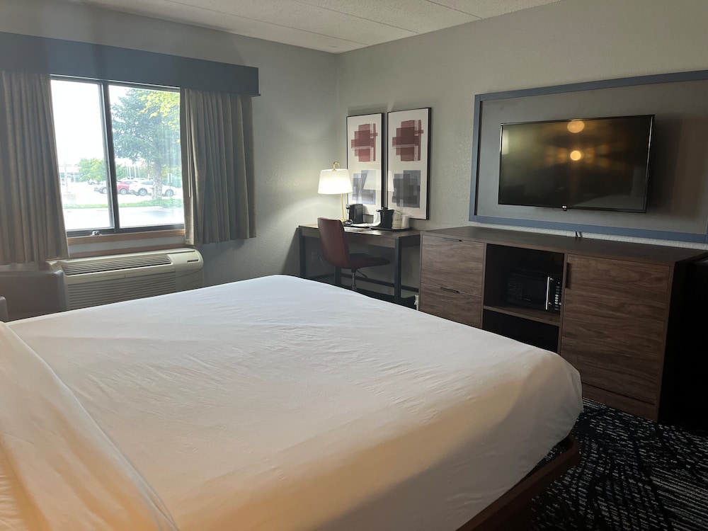 Suite, King Bed