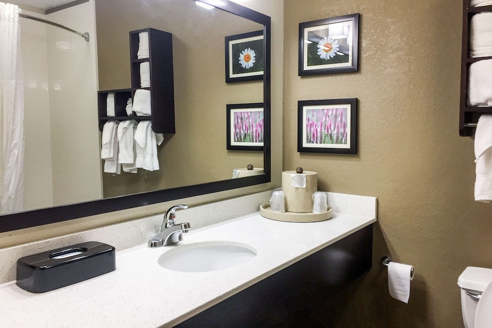 Comfort Suites Regency Park 29/34