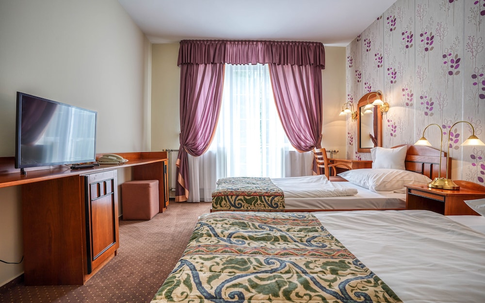 Erzsebet Hotel 14/46