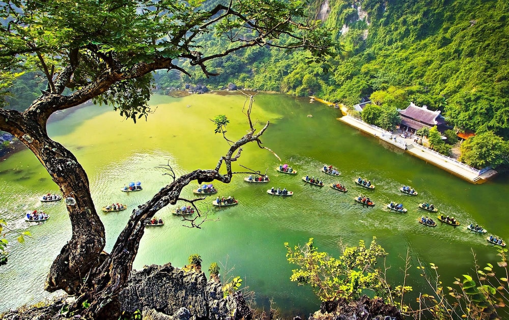 Ninh Binh Greenland Homestay 45/50