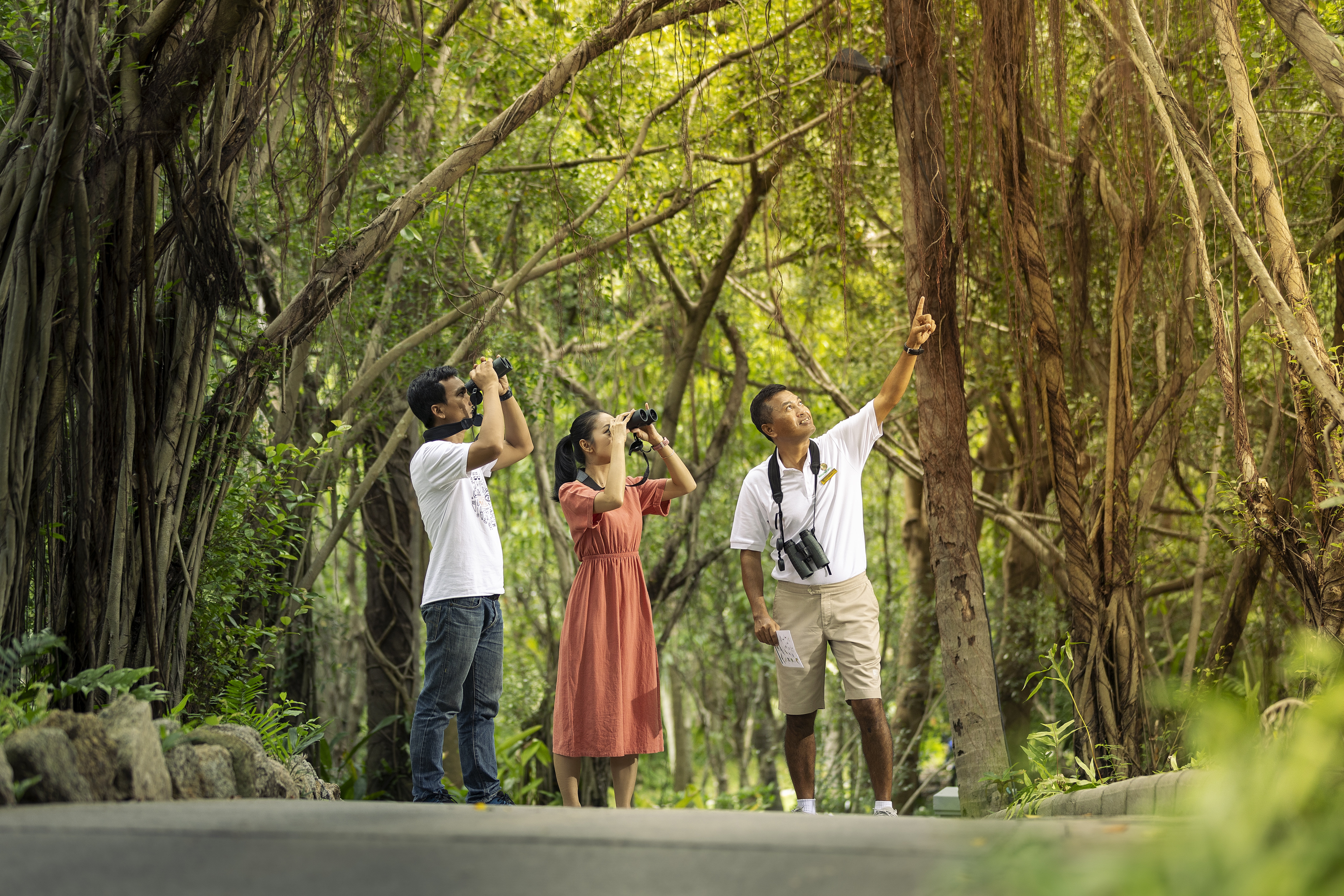 Banyan Tree Samui 18/75