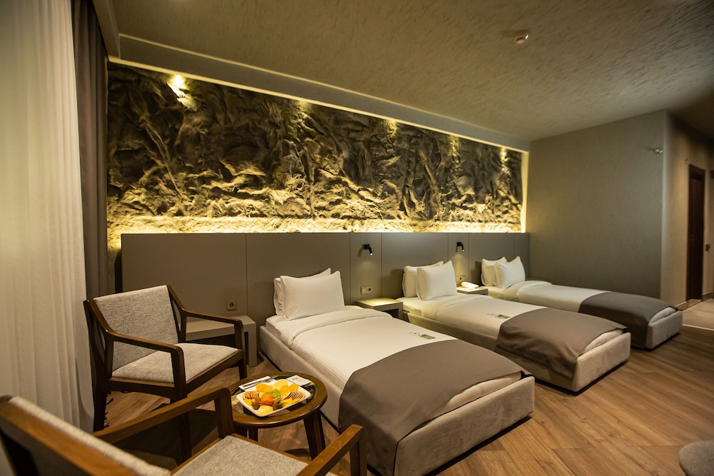 The Erzurum Hotel 17/50