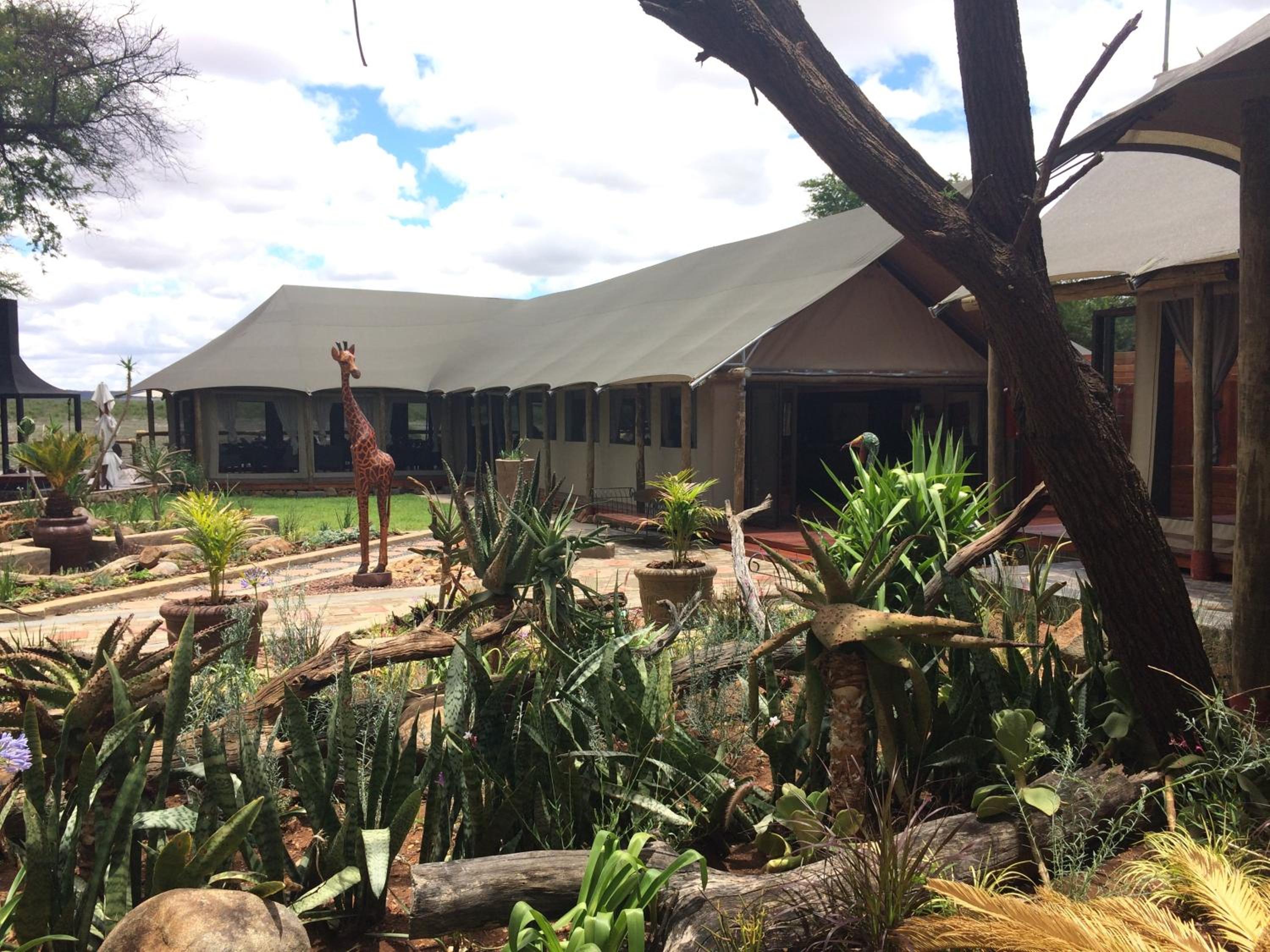Tau Game Lodge 50/56