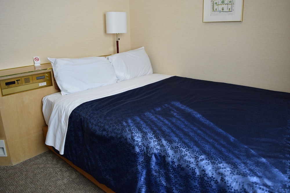 Asakusa Central Hotel 20/67