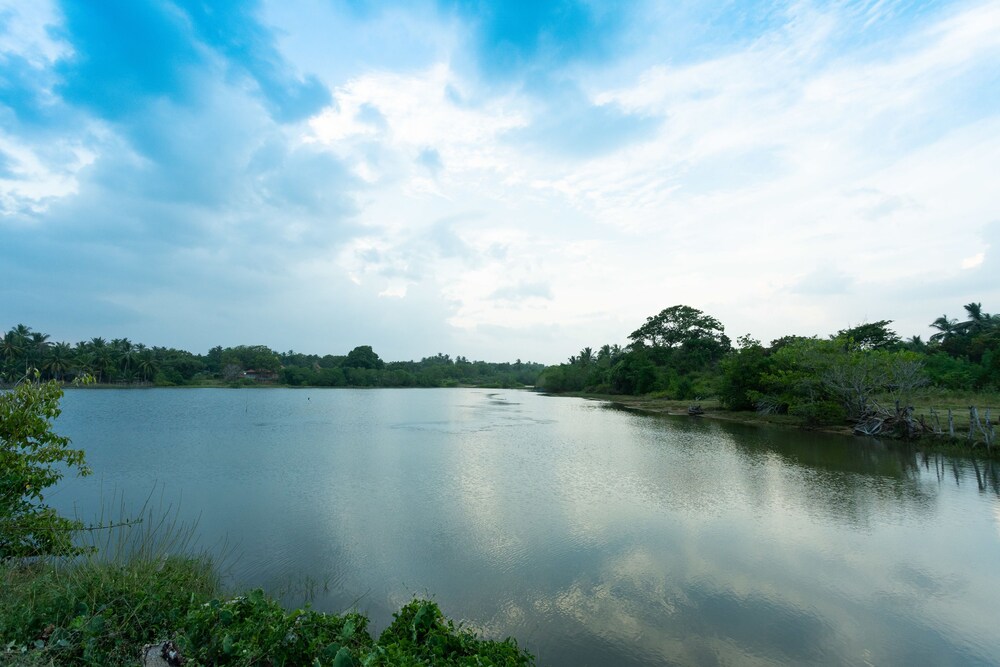 Céu Ceylon 36/47