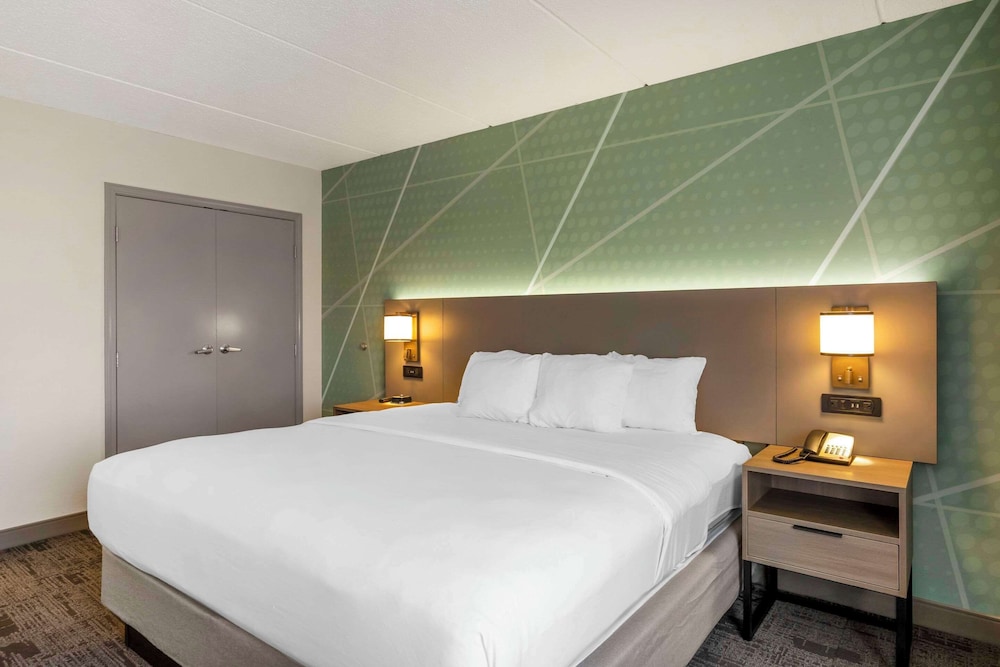 Suite, King Bed, Sofa