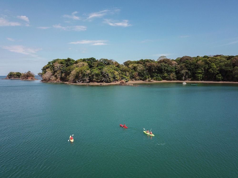 Isla Palenque Member of the Cayuga Collection 43/50