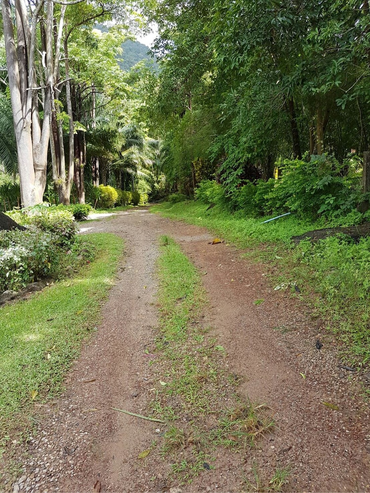 Phanom Bencha Mountain Resort 27/38