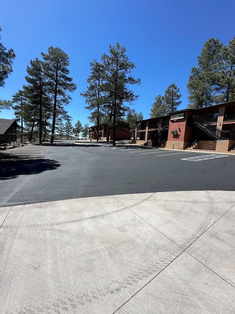 Motel In The Pines 29/41